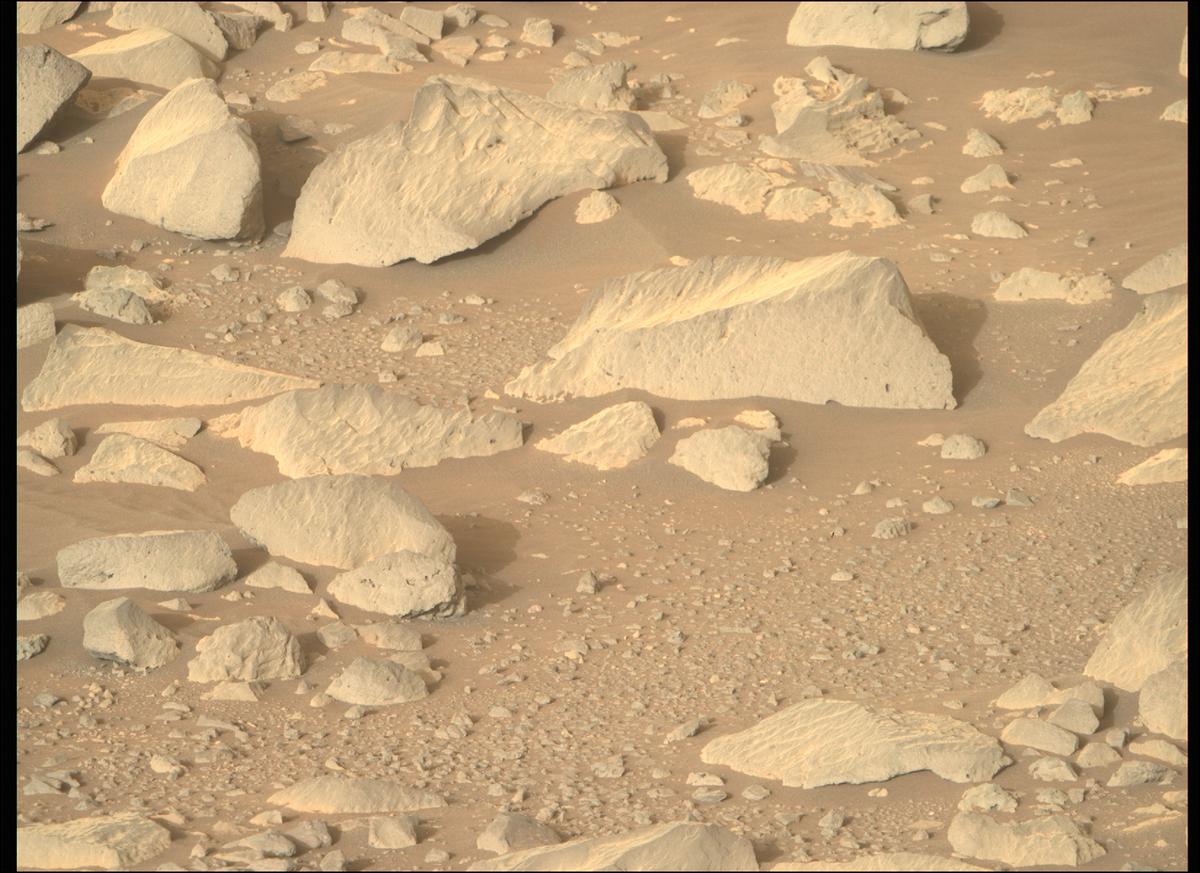 This image was taken by MCZ_RIGHT onboard NASA's Mars rover Perseverance on Sol 353