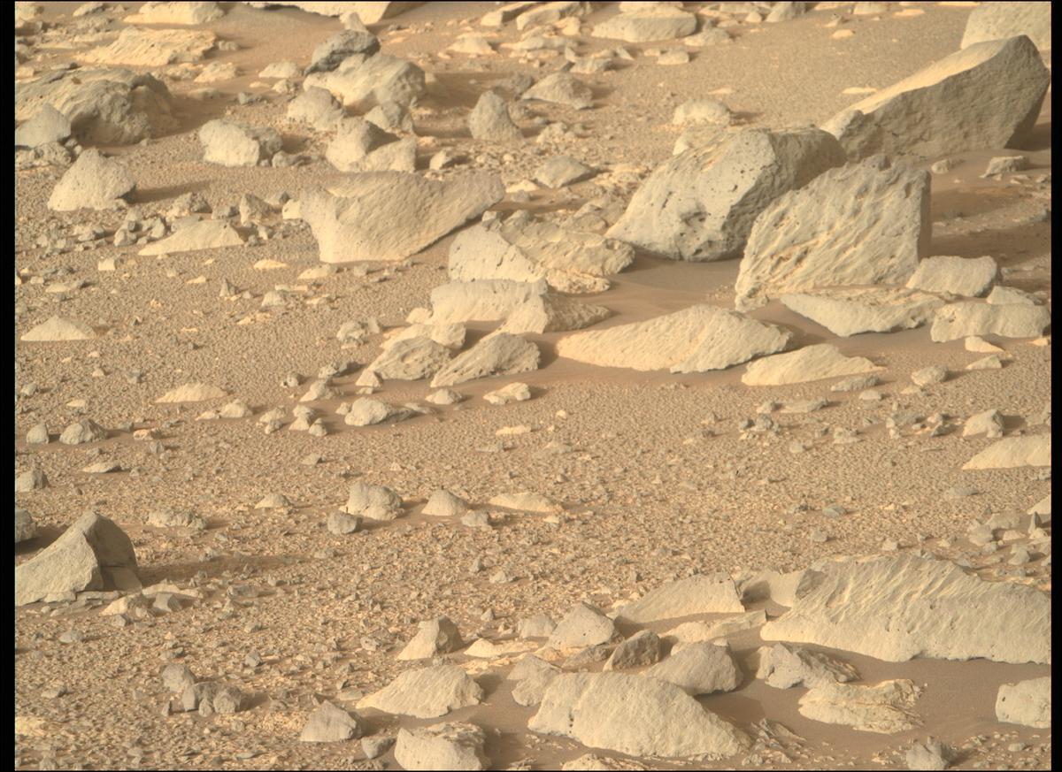 This image was taken by MCZ_RIGHT onboard NASA's Mars rover Perseverance on Sol 353