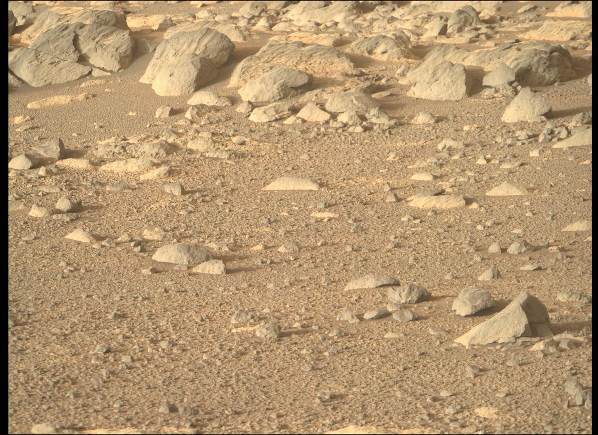 This image was taken by MCZ_RIGHT onboard NASA's Mars rover Perseverance on Sol 353