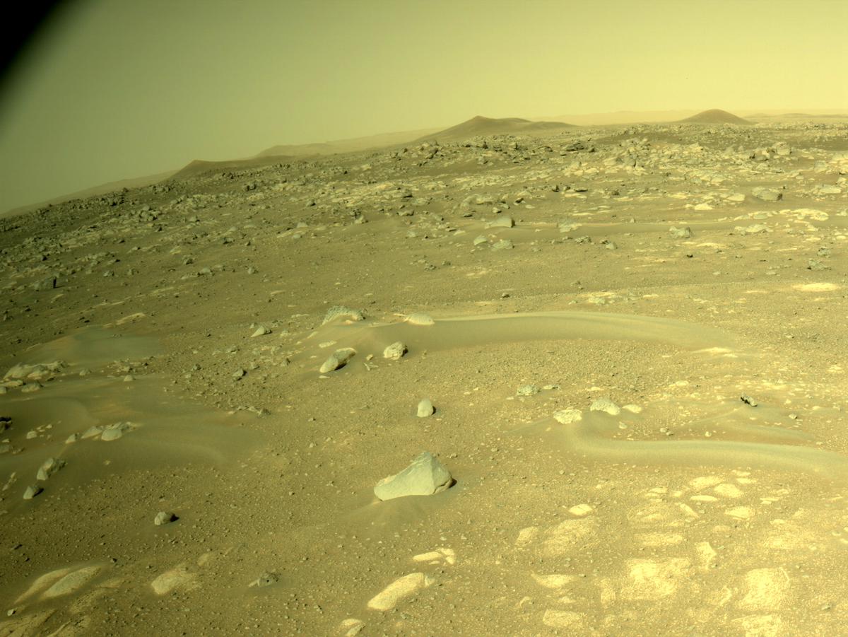 This image was taken by NAVCAM_LEFT onboard NASA's Mars rover Perseverance on Sol 354