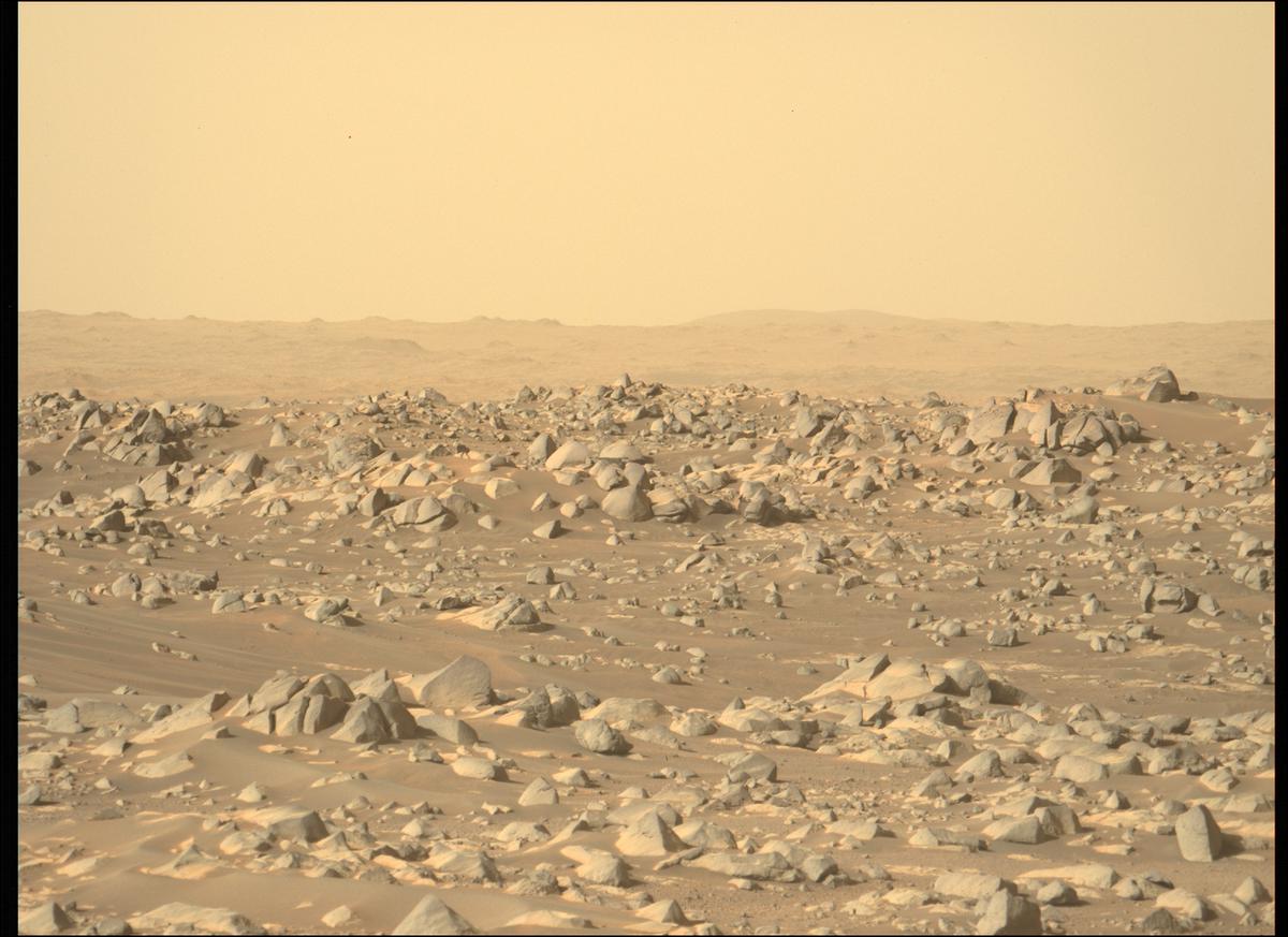 This image was taken by MCZ_LEFT onboard NASA's Mars rover Perseverance on Sol 354