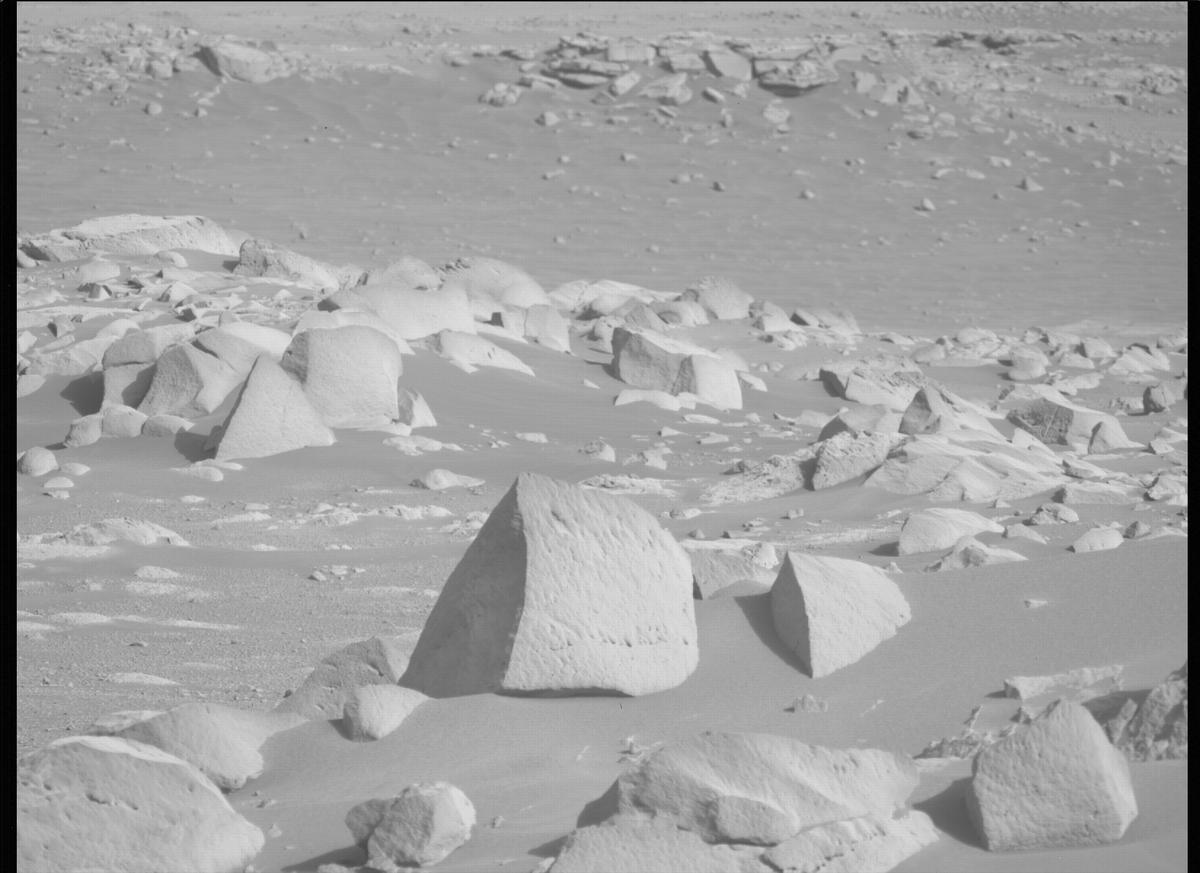 This image was taken by MCZ_LEFT onboard NASA's Mars rover Perseverance on Sol 354