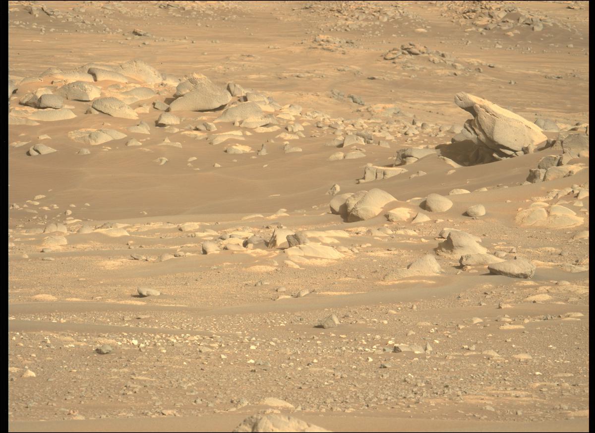 This image was taken by MCZ_LEFT onboard NASA's Mars rover Perseverance on Sol 354