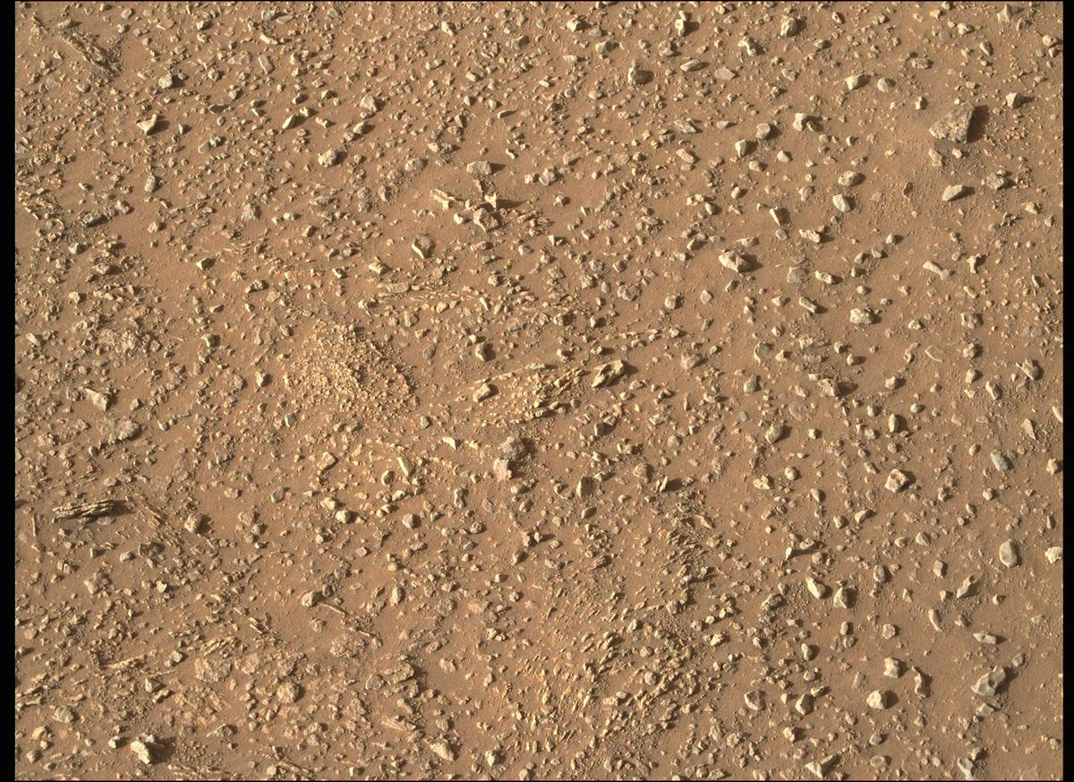 This image was taken by MCZ_RIGHT onboard NASA's Mars rover Perseverance on Sol 354