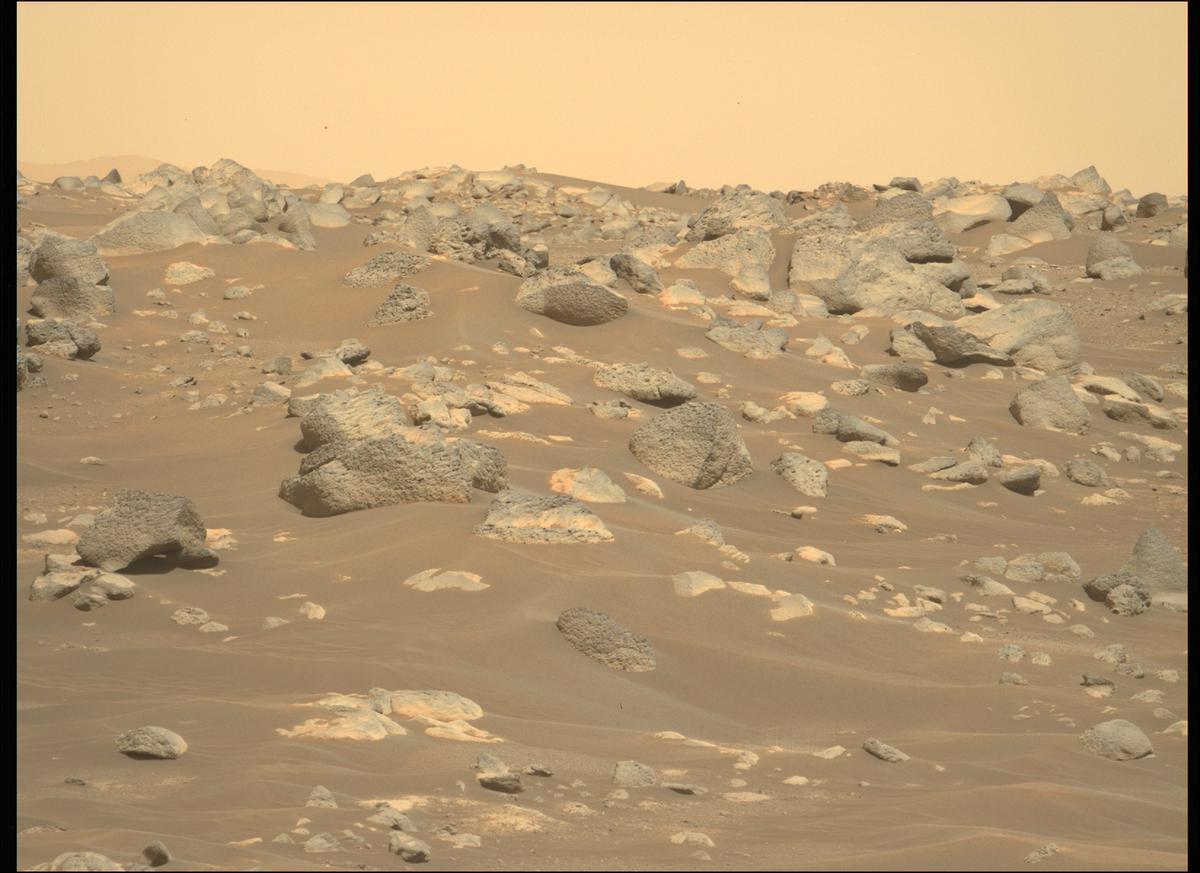 This image was taken by MCZ_LEFT onboard NASA's Mars rover Perseverance on Sol 357