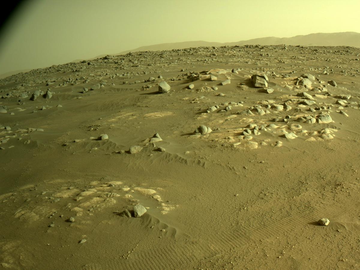 This image was taken by NAVCAM_LEFT onboard NASA's Mars rover Perseverance on Sol 360