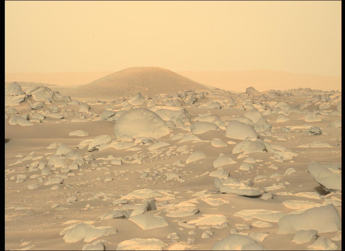 This image was taken by MCZ_LEFT onboard NASA's Mars rover Perseverance on Sol 360