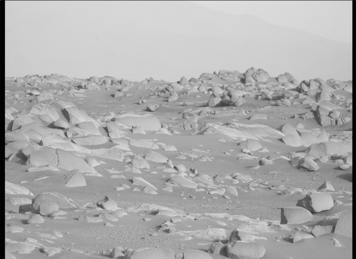 This image was taken by MCZ_LEFT onboard NASA's Mars rover Perseverance on Sol 360