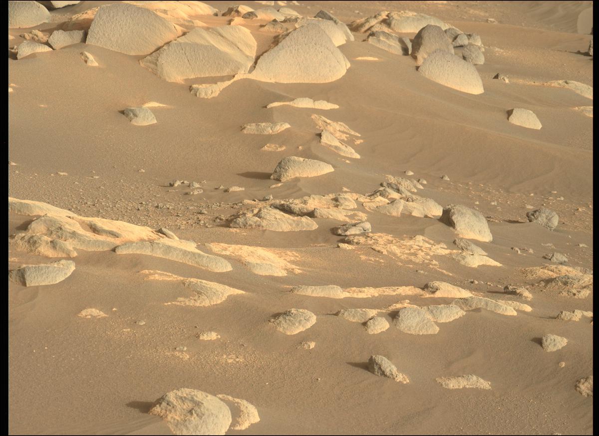 This image was taken by MCZ_LEFT onboard NASA's Mars rover Perseverance on Sol 360