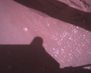 View image taken on Mars, Mars Perseverance Sol 361: Rover Down-Look Camera