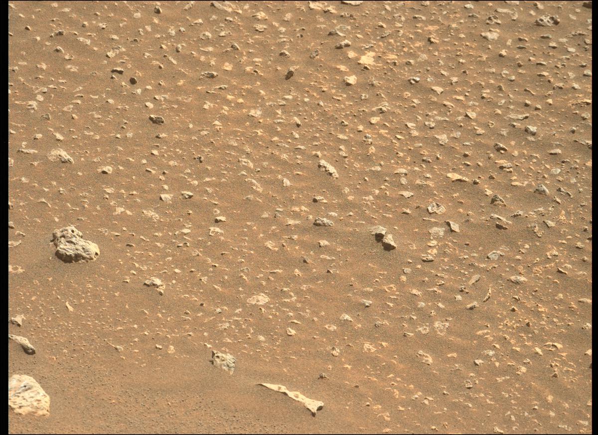 This image was taken by MCZ_LEFT onboard NASA's Mars rover Perseverance on Sol 361