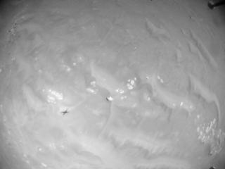 View image taken on Mars, Mars Helicopter Sol 362: Navigation Camera
