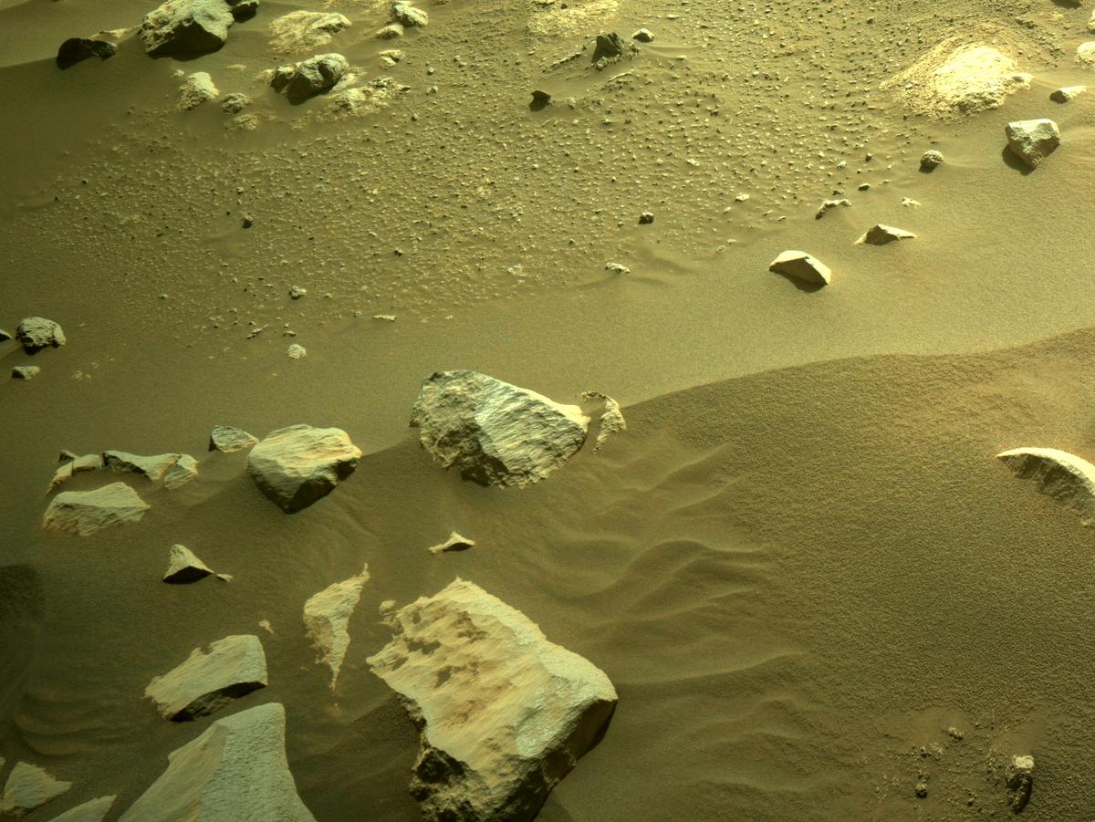 This image was taken by NAVCAM_LEFT onboard NASA's Mars rover Perseverance on Sol 362