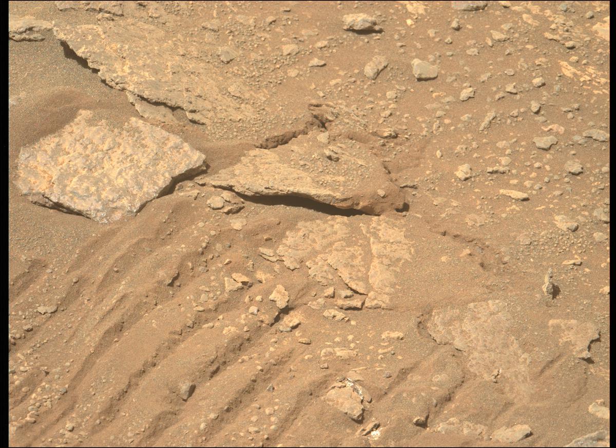 This image was taken by MCZ_LEFT onboard NASA's Mars rover Perseverance on Sol 367