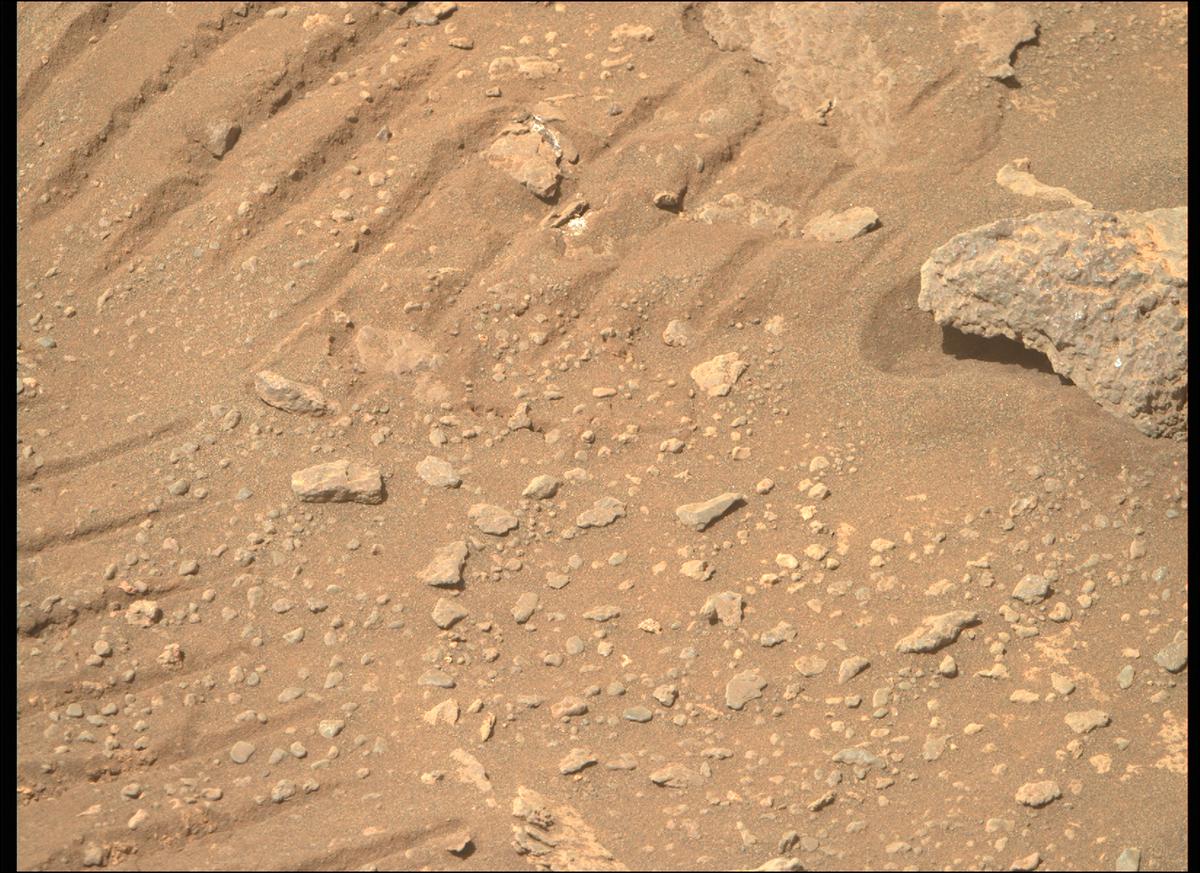 This image was taken by MCZ_RIGHT onboard NASA's Mars rover Perseverance on Sol 367