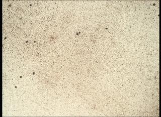 View image taken on Mars, Mars Perseverance Sol 368: Right Mastcam-Z Camera