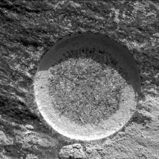 This image was taken by MCZ_RIGHT onboard NASA's Mars rover Perseverance on Sol 368