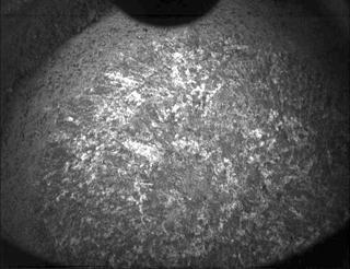 View image taken on Mars, Mars Perseverance Sol 370: PIXL Camera 