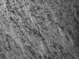 View image taken on Mars, Mars Perseverance Sol 370: WATSON Camera 