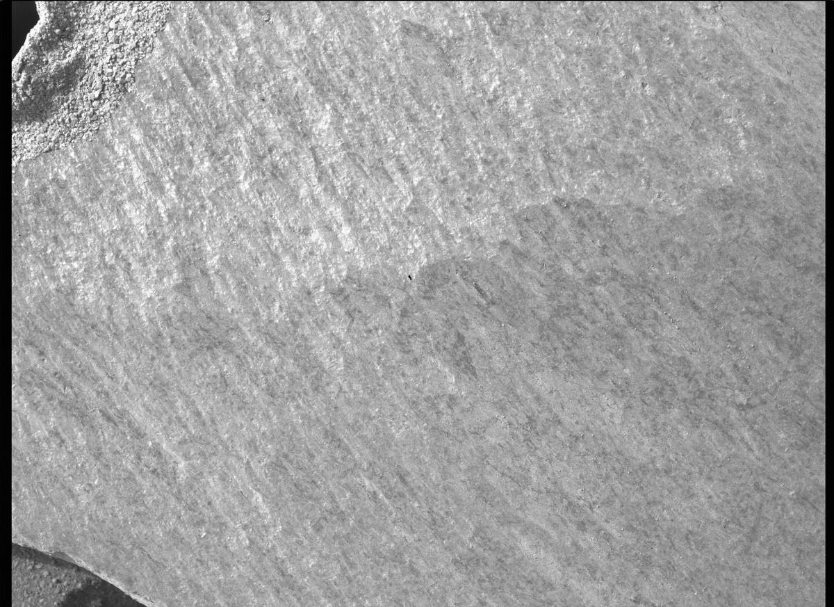 This image was taken by SHERLOC_WATSON onboard NASA's Mars rover Perseverance on Sol 373