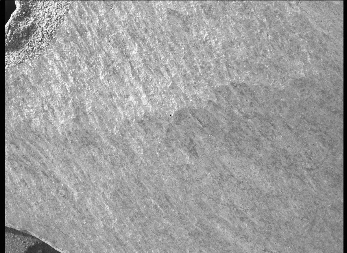 This image was taken by SHERLOC_WATSON onboard NASA's Mars rover Perseverance on Sol 373