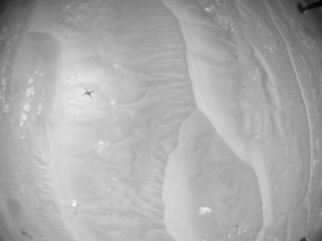 This image was taken by HELI_NAV onboard NASA's Mars rover Perseverance on Sol 375