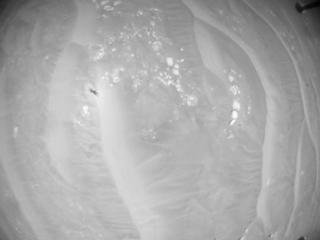 View image taken on Mars, Mars Helicopter Sol 375: Navigation Camera
