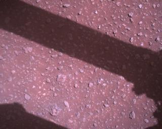 View image taken on Mars, Mars Perseverance Sol 382: Rover Down-Look Camera