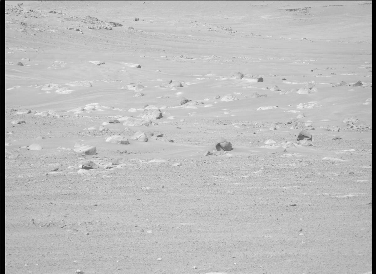 This image was taken by MCZ_LEFT onboard NASA's Mars rover Perseverance on Sol 382