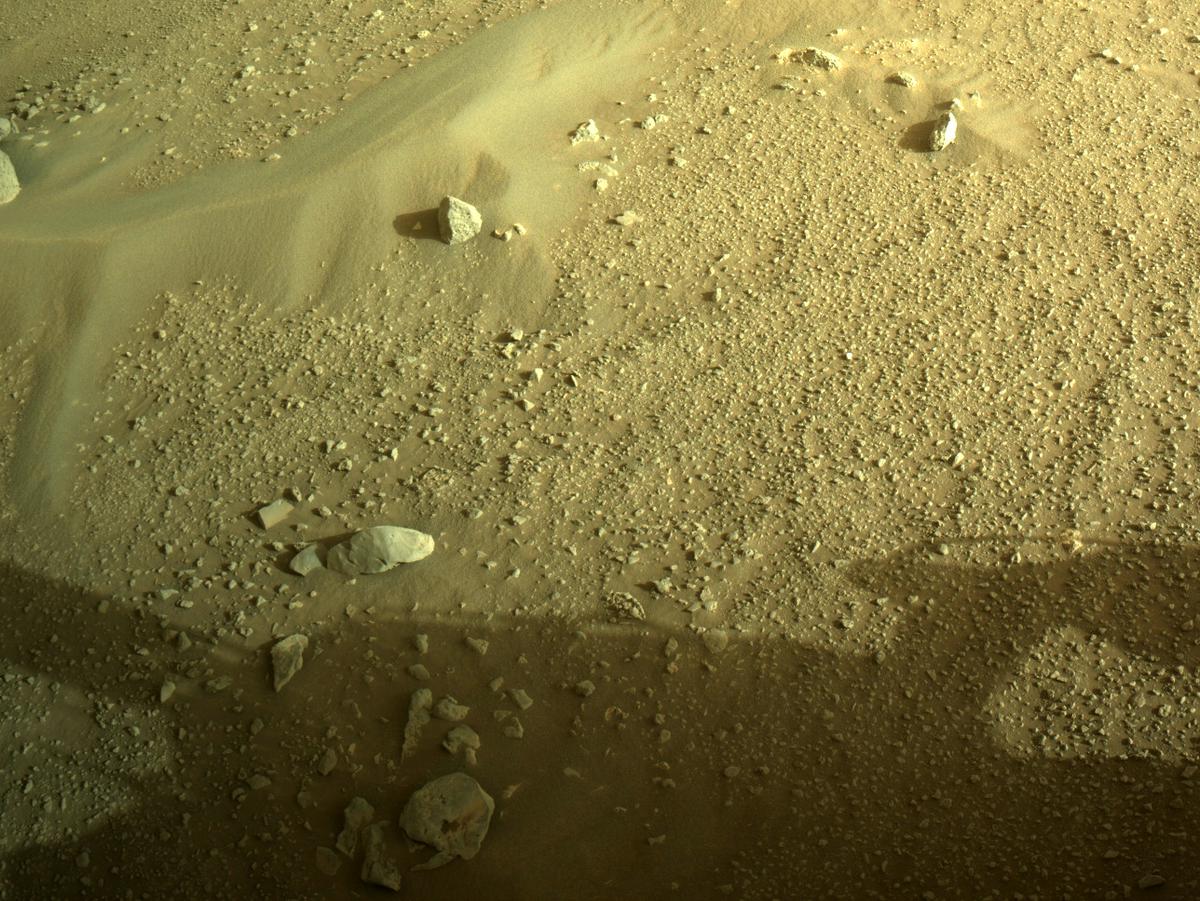 This image was taken by NAVCAM_LEFT onboard NASA's Mars rover Perseverance on Sol 383