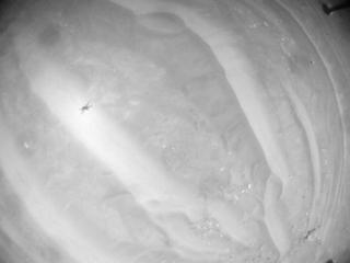 View image taken on Mars, Mars Helicopter Sol 384: Navigation Camera