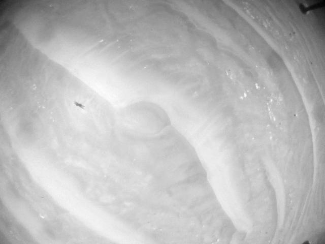 This image was taken by HELI_NAV onboard NASA's Mars rover Perseverance on Sol 384