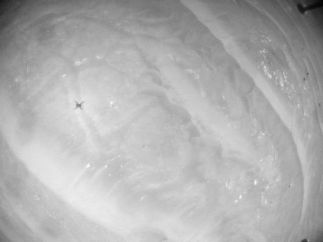 This image was taken by HELI_NAV onboard NASA's Mars rover Perseverance on Sol 384