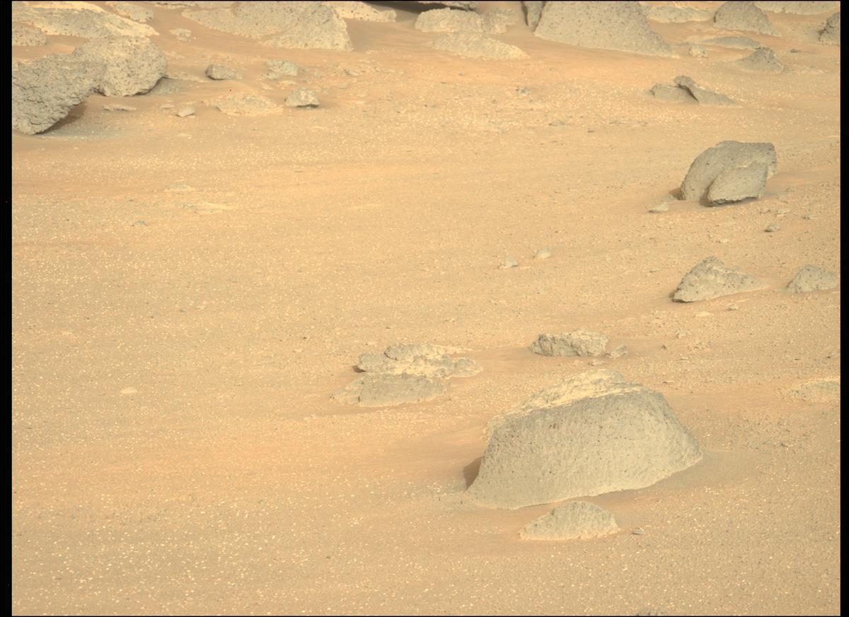 This image was taken by MCZ_LEFT onboard NASA's Mars rover Perseverance on Sol 384