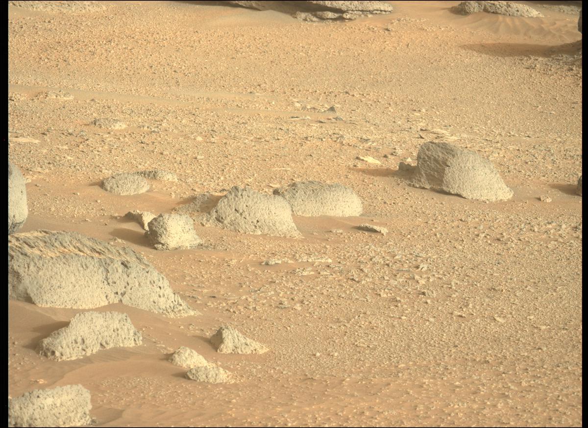 This image was taken by MCZ_LEFT onboard NASA's Mars rover Perseverance on Sol 384