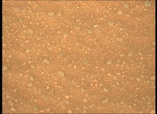 View image taken on Mars, Mars Perseverance Sol 384: Left Mastcam-Z Camera