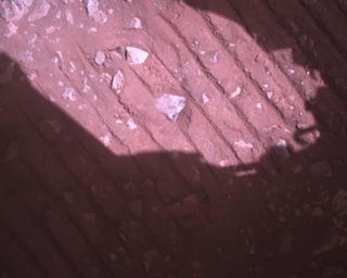 View image taken on Mars, Mars Perseverance Sol 385: Rover Down-Look Camera