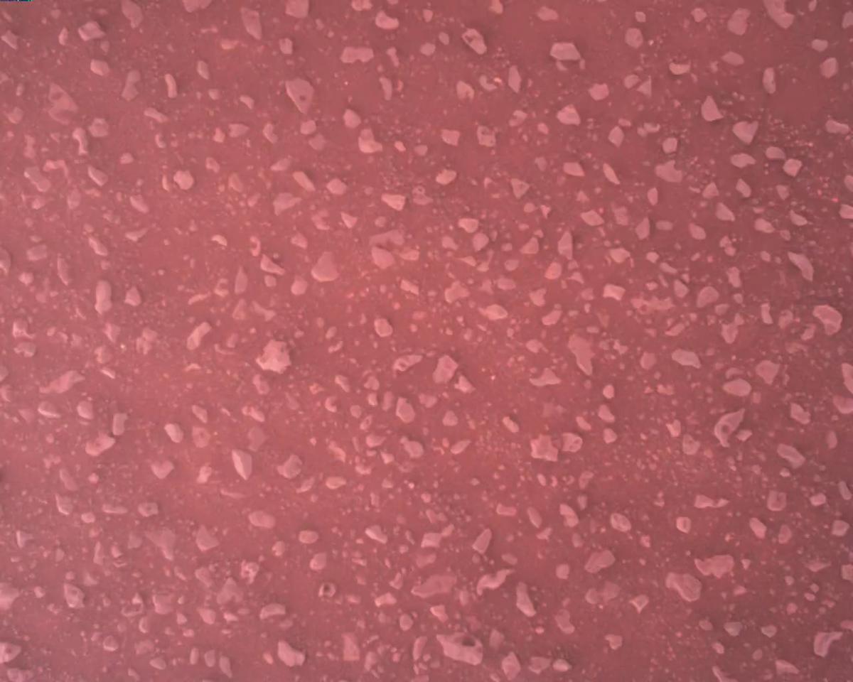 This image was taken by EDL_RDCAM onboard NASA's Mars rover Perseverance on Sol 385