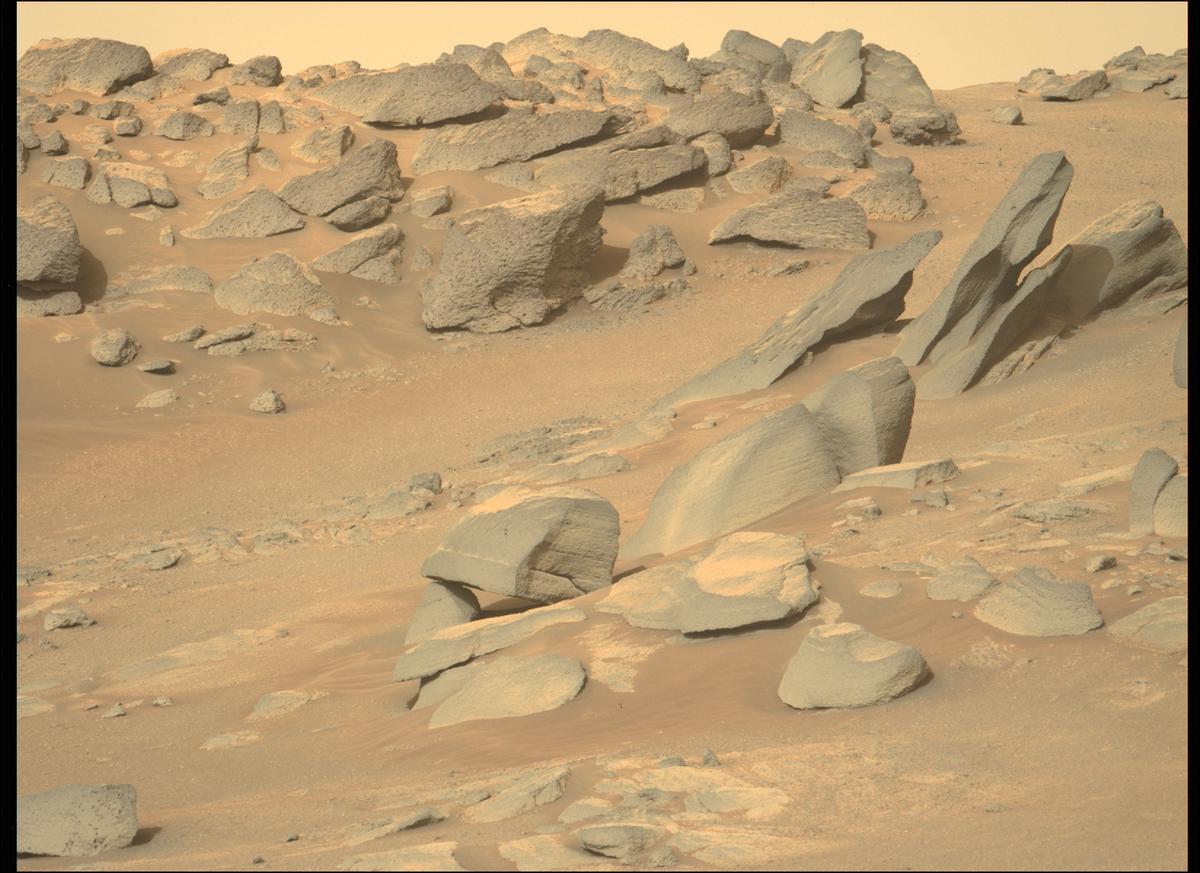 This image was taken by MCZ_LEFT onboard NASA's Mars rover Perseverance on Sol 385