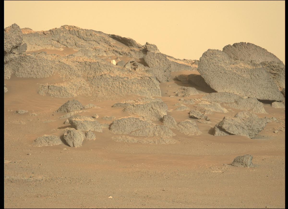 This image was taken by MCZ_LEFT onboard NASA's Mars rover Perseverance on Sol 385