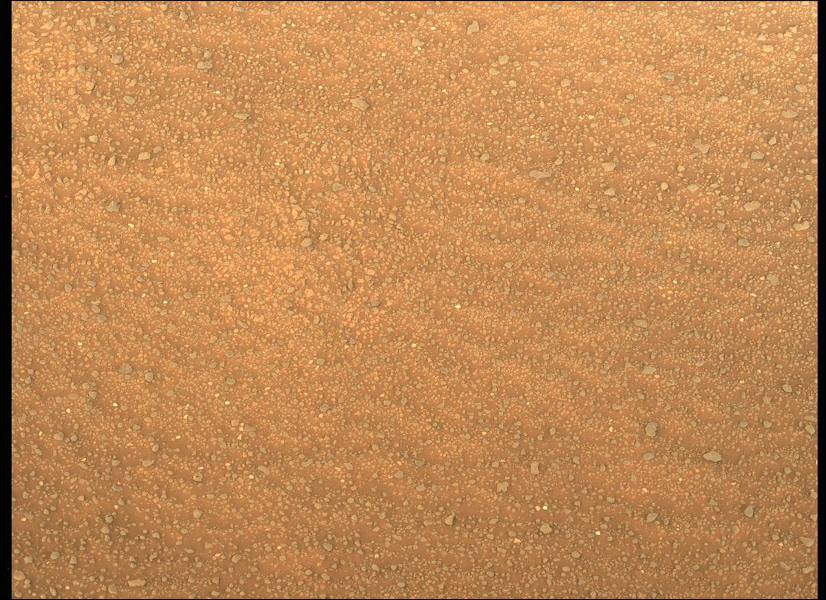 This image was taken by MCZ_LEFT onboard NASA's Mars rover Perseverance on Sol 385