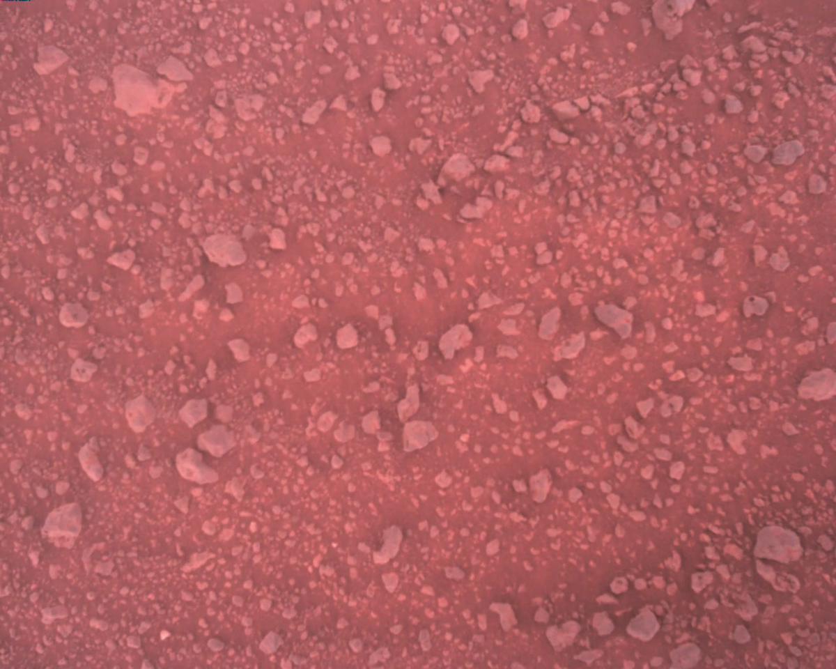 This image was taken by EDL_RDCAM onboard NASA's Mars rover Perseverance on Sol 386
