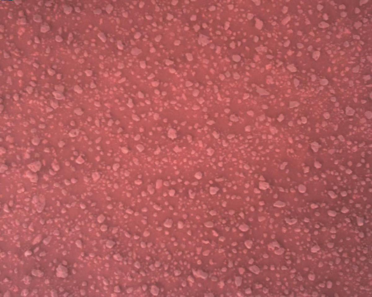 This image was taken by EDL_RDCAM onboard NASA's Mars rover Perseverance on Sol 386