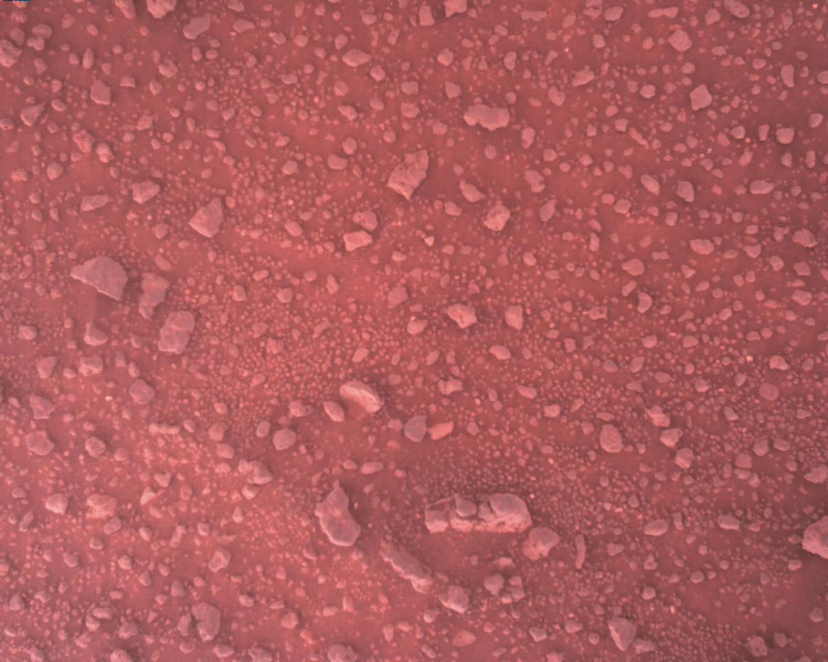 This image was taken by EDL_RDCAM onboard NASA's Mars rover Perseverance on Sol 386
