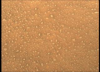 View image taken on Mars, Mars Perseverance Sol 386: Left Mastcam-Z Camera