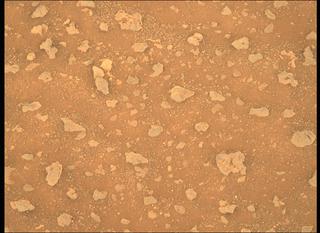 View image taken on Mars, Mars Perseverance Sol 386: Right Mastcam-Z Camera