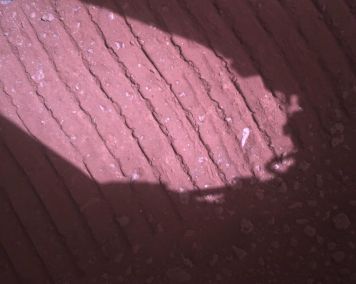 This image was taken by EDL_RDCAM onboard NASA's Mars rover Perseverance on Sol 387