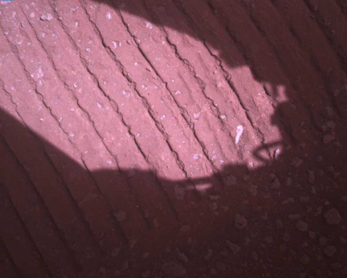 This image was taken by EDL_RDCAM onboard NASA's Mars rover Perseverance on Sol 387