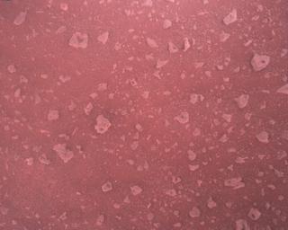 View image taken on Mars, Mars Perseverance Sol 387: Rover Down-Look Camera