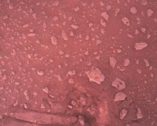 View image taken on Mars, Mars Perseverance Sol 387: Rover Down-Look Camera